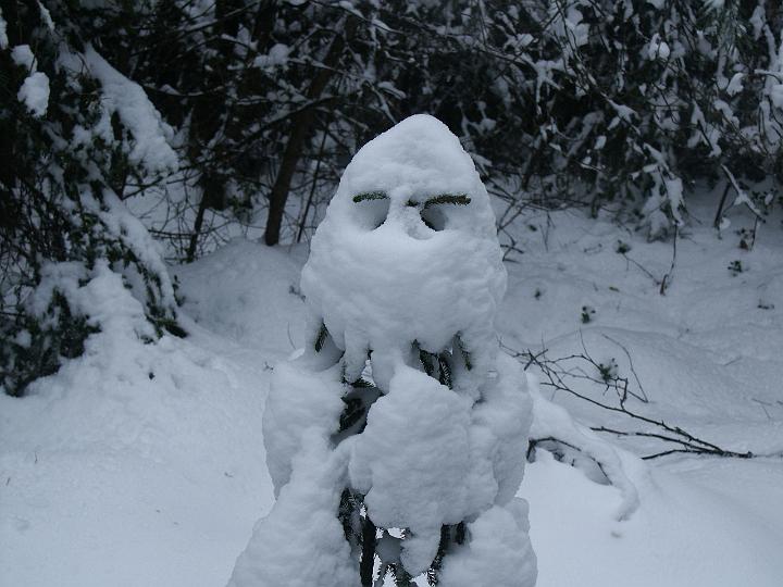 Vi hittade sn�mannen