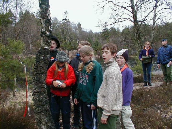 Po�ngpromenad