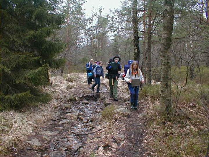 Scouter p� skogsstig
