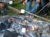 Scouterna grillar marshmallows