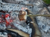 Lite fÃ¶r fÃ¤rdig marshmallows
