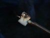 En lite fÃ¶r klar marshmallows