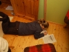 Cornelia i djup koncentration