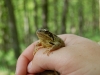 DSC_0055.jpg