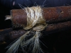 tandstickor_knopar_surrning_19